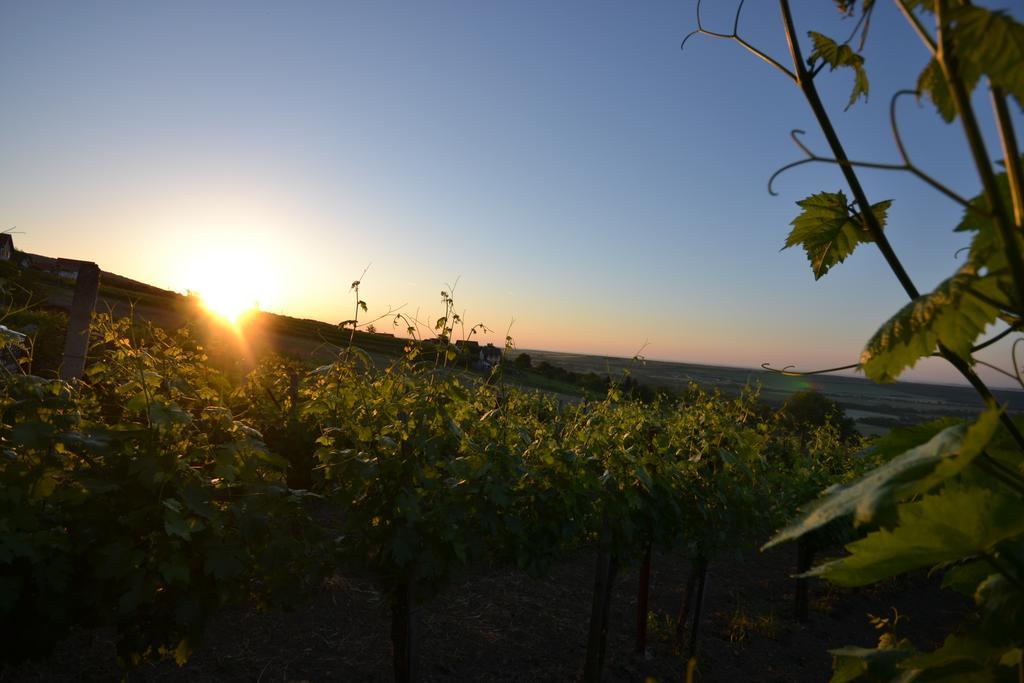 Kellerstoeckl Nimm 2 Villa Rechnitz Cameră foto